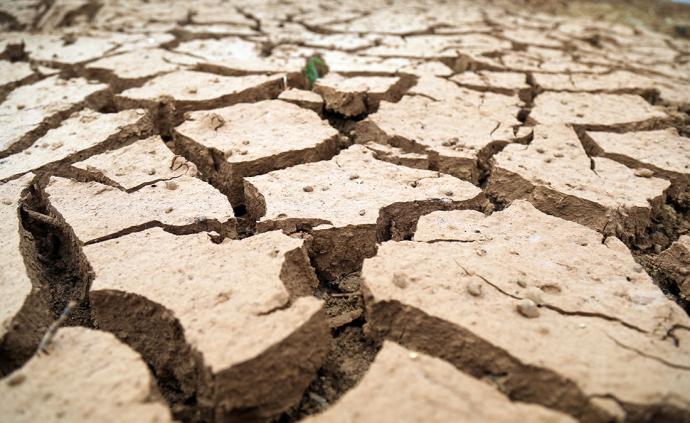 直播录像丨云南多地遭遇严重干旱：逾30万人饮水困难