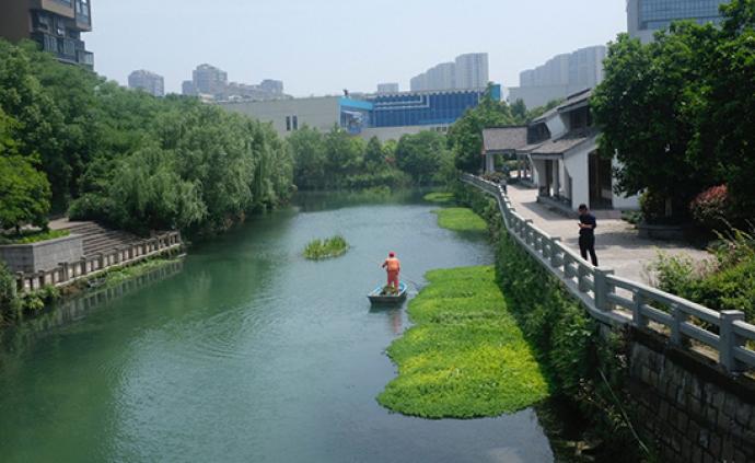 杭州亚运治水：黑臭消除后，智慧水利助力水质再提升