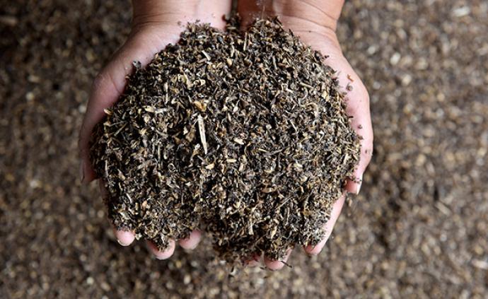 美国华盛顿州允许“堆肥葬”，可将遗体分解为适宜耕种的土壤