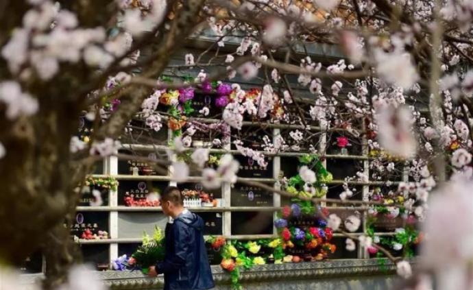 青岛拟禁止焚烧抛撒丧葬祭奠物品，鼓励建设海葬纪念场所祭奠