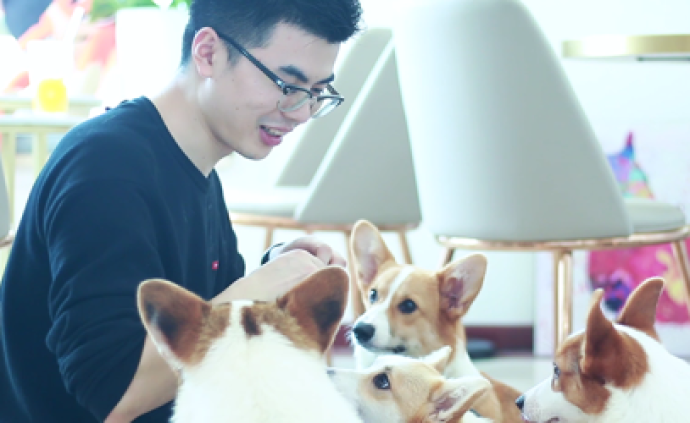 深圳首家宠物狗咖，据说治愈效果等于四个蔡文姬