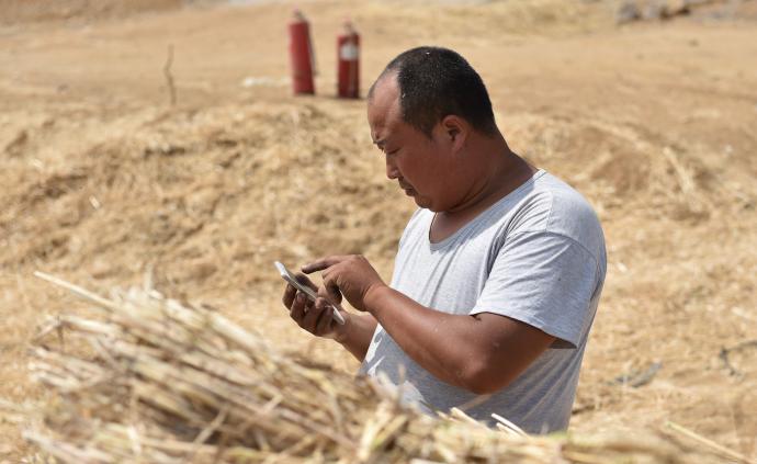 男子自费买51台脱粒机免费为农民打麦子，回收秸秆防污染