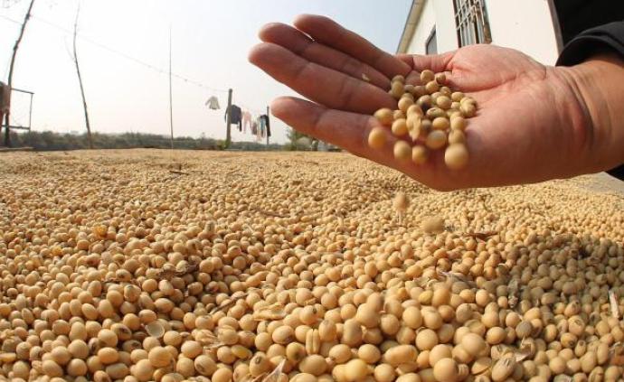 国产大豆振兴：2020年大豆种植面积将达到1.4亿亩