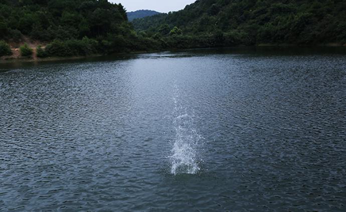 广西田林县发生一起疑似溺水事件，5名小学生溺亡