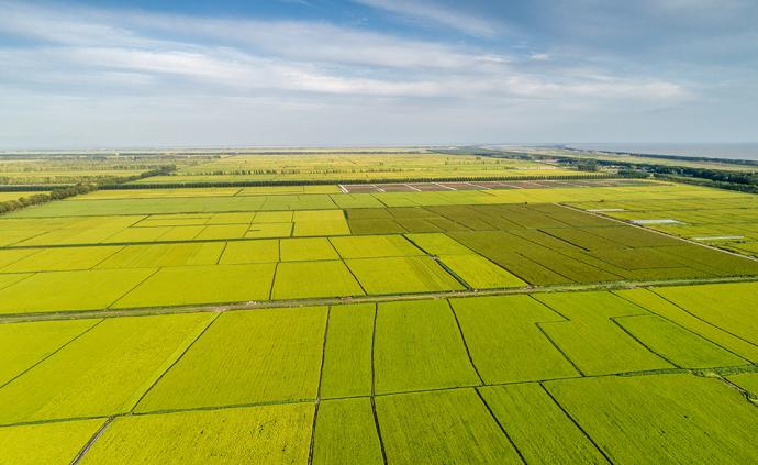 黑龙江省建设万亩高产标准农田，新增粮食产能100多亿斤