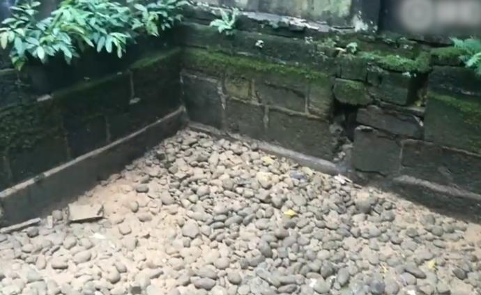 地震后，宜宾千年葡萄井“一夜干涸”