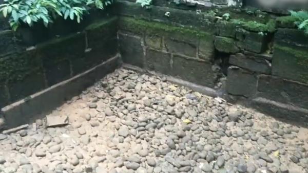 地震后，宜宾千年葡萄井“一夜干涸”