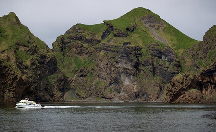 上海白鲸姐妹花安全抵达冰岛，它们的新家是一片开放水域
