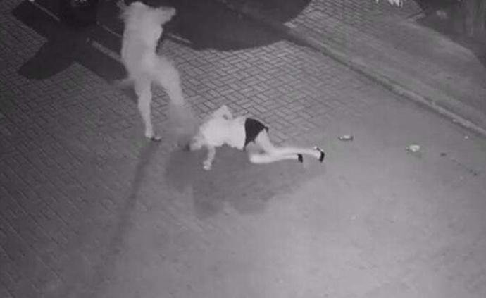 梅州警方：经核查非“女孩深夜遭殴打”事发地，未接类似警情