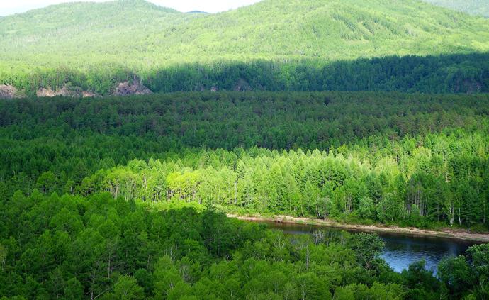森林法修订草案一审：促进森林资源可持续利用和发展 