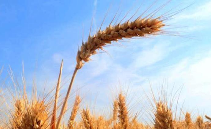 3600年前谁把大麦带进青藏高原？中国北方粟黍农业人群