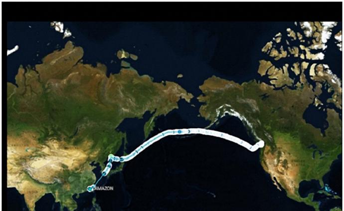 加拿大油菜籽船在中国海域转了4周，分析师：可能是最后一艘