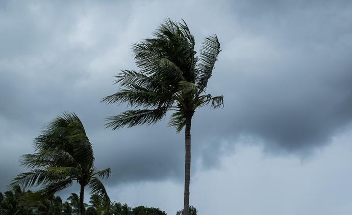 今年首个台风预警发布，有可能3日凌晨到上午在海南沿海登陆