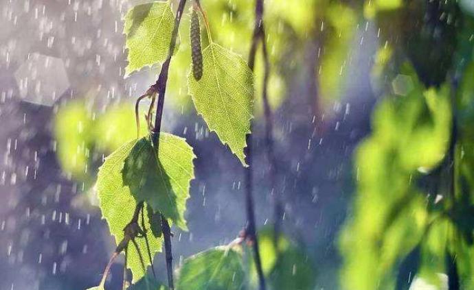 国家气候中心：江淮地区今年入梅偏晚，预计7月进入梅雨季节