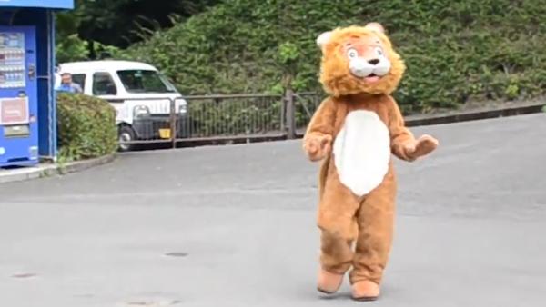 神操作：日本动物园人扮狮子模拟逃跑