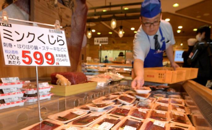 日本商店开售鲸肉：每100克38元人民币