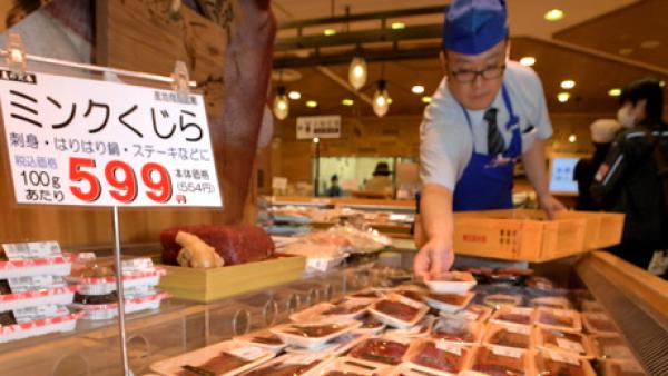 日本商店开售鲸肉：每100克38元人民币