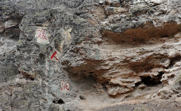 北京猿人头盖骨发现90周年，中科院学者：化石丢失是心结