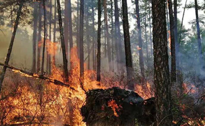 大兴安岭北部原始林区今天发生两起森林火灾