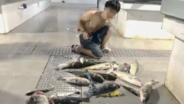深夜遛进市场，他拿起菜刀砍死20条鱼