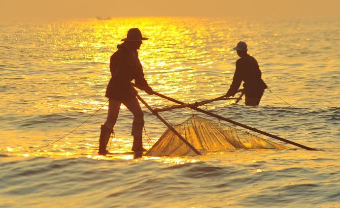 实拍山东渔民踩着“高跷”捕小虾，人人都是杂技高手