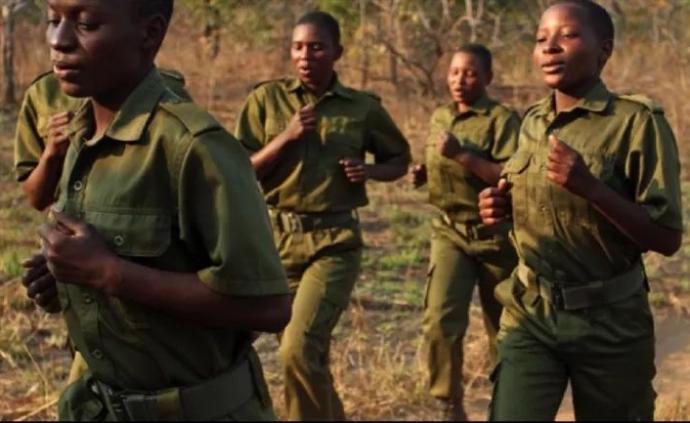 非洲最帅“女团”：史上首支女性武装反偷猎巡逻队