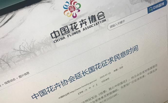 中国花协延长国花征求民意时间，投票截止为22日24时