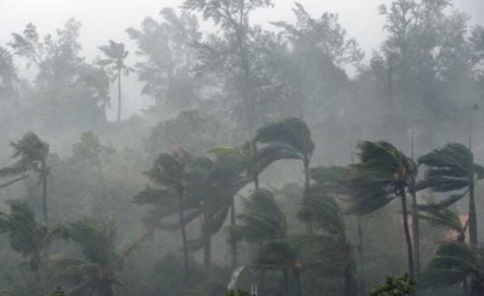 专家解读：台风“丹娜丝”与南海热带低压原属于同一涡旋