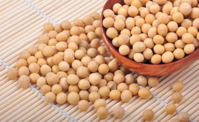 欧洲评估一项转基因大豆和玉米：食用饲用和常规产品同等安全