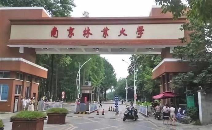 南京林业大学：只要教得好，没有论文也能评上教授