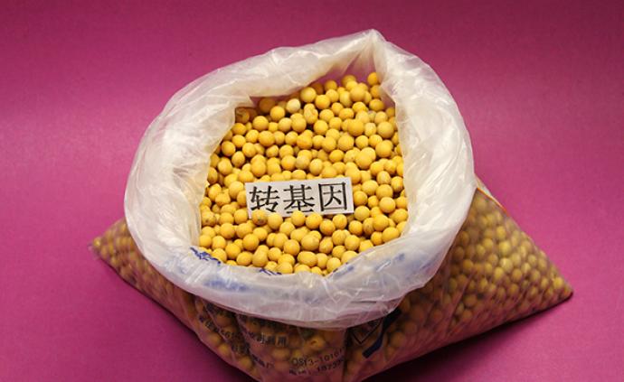 台湾卫生福利部门：批准一项转基因大豆用于食品原料