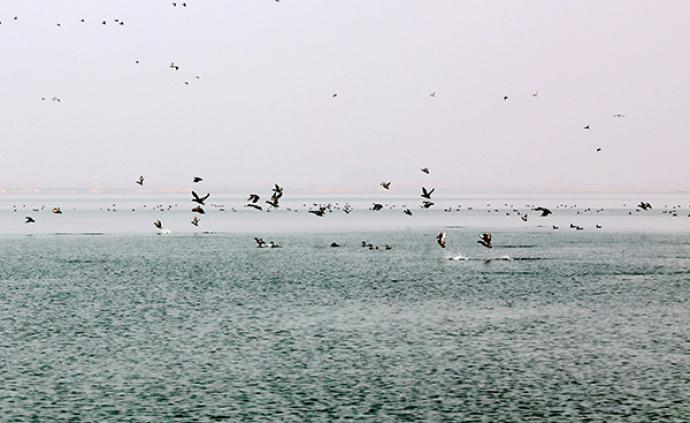 保护洞庭湖：湖南湖北两省高院签订环境资源审判协作框架协议