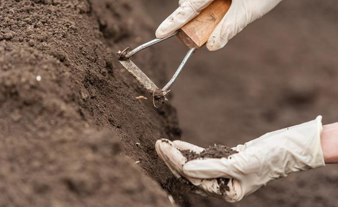 科技部安排22个土壤污染研究方向，涉及监测预警、治理修复