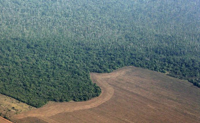 亚马孙热带雨林破坏速度加快，接近“无法恢复”临界点