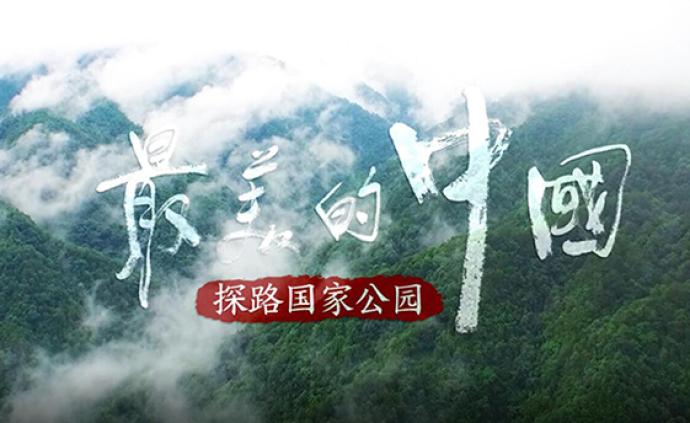 澎湃新闻“山河”系列——最美的中国：探路国家公园8月上线