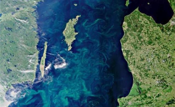 波罗的海变暖致蓝绿藻大量繁殖，缺氧海床范围扩10倍