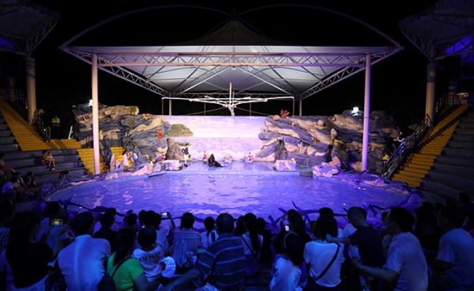 8月8日开园！上海将拥有自己的夜间动物园，就在上野