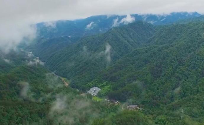 钱江源国家公园︱在钱塘江源头寻找新生活