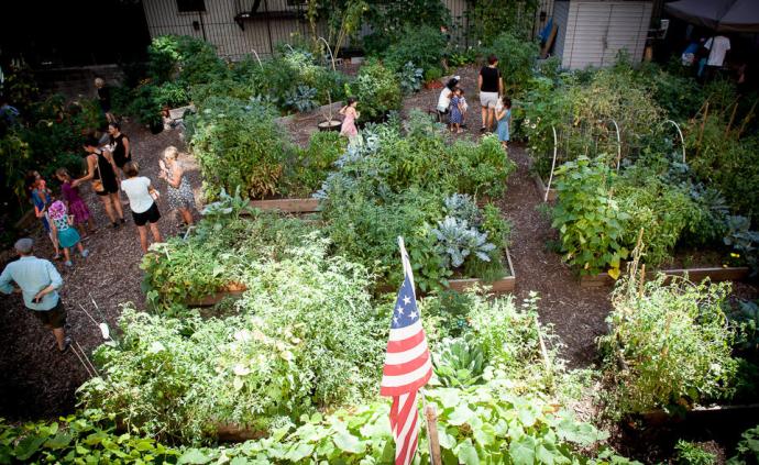 食物共享⑦｜纽约：从空置土地种植到开放移民家庭厨房