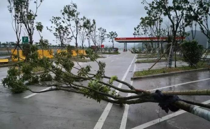 台风专家：“利奇马”强度排新中国成立以来登陆浙江台风前三