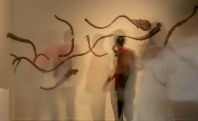 上博“大洋洲艺术”特展带来的灵感与当代艺术回应
