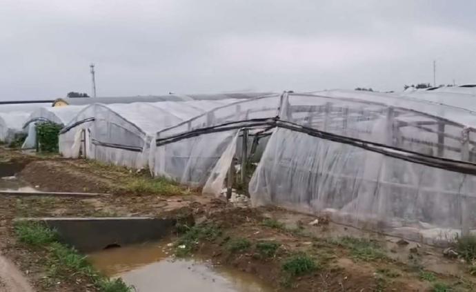 山东寿光通报：台风致1.8万个大棚进水，直接损失近10亿