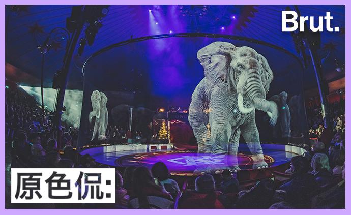 全球首家沒有真實動物的“全息投影”馬戲團,觀眾會買賬嗎?