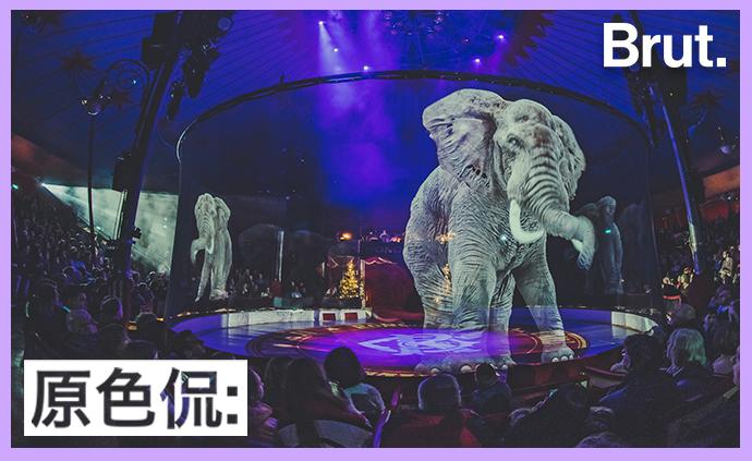 全球首家没有真实动物的“全息投影”马戏团，观众会买账吗？