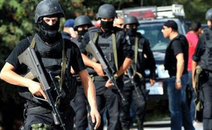 埃及内政部：安全部队击毙11名恐怖分子