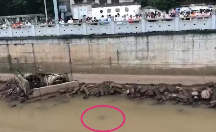 四川乐山一河面漂浮婴儿尸体，警方已介入调查