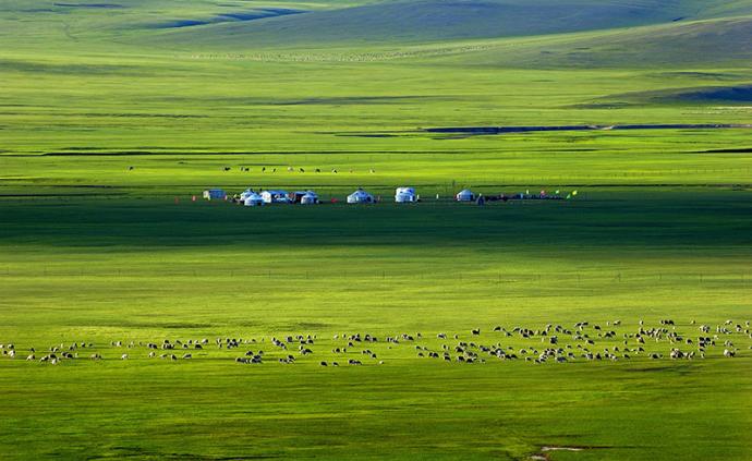 内蒙古：计划建设五大奶源基地，到2025年奶类产量千万吨