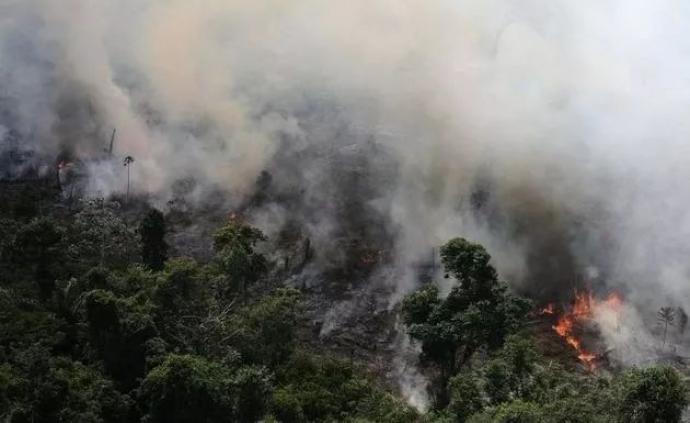 已燃烧数百小时，亚马逊雨林这次能否躲过浩劫？