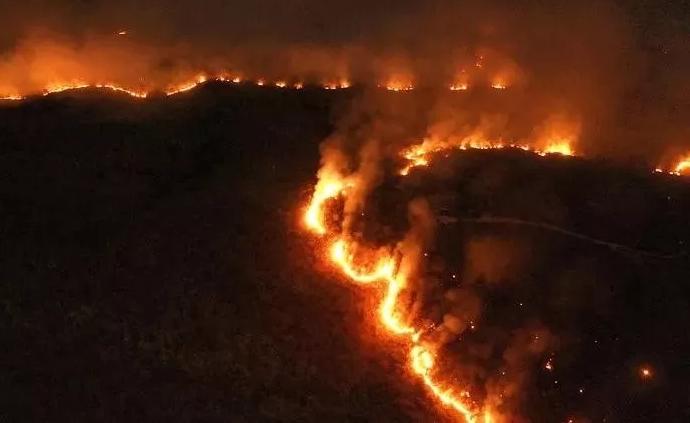 涨知识｜为何全球都在关注亚马孙大火？“雨林”为何会着火？