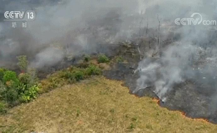 亚马孙雨林大火仍在多片区域肆虐，大量植被焚毁